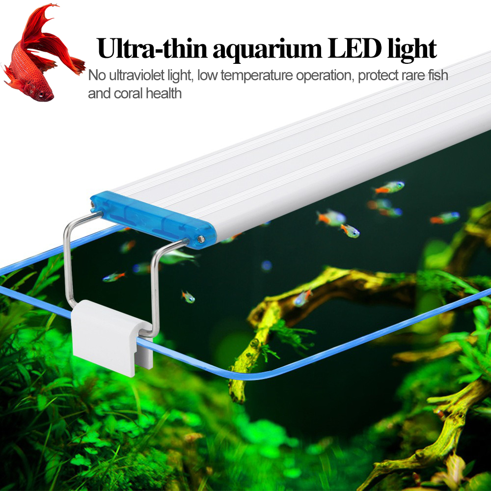 ไฟตู้ปลาบางเฉียบ สีฟ้าขาว เปลี - Aquarium Fish Elevator บทวิจารณ์และราคา