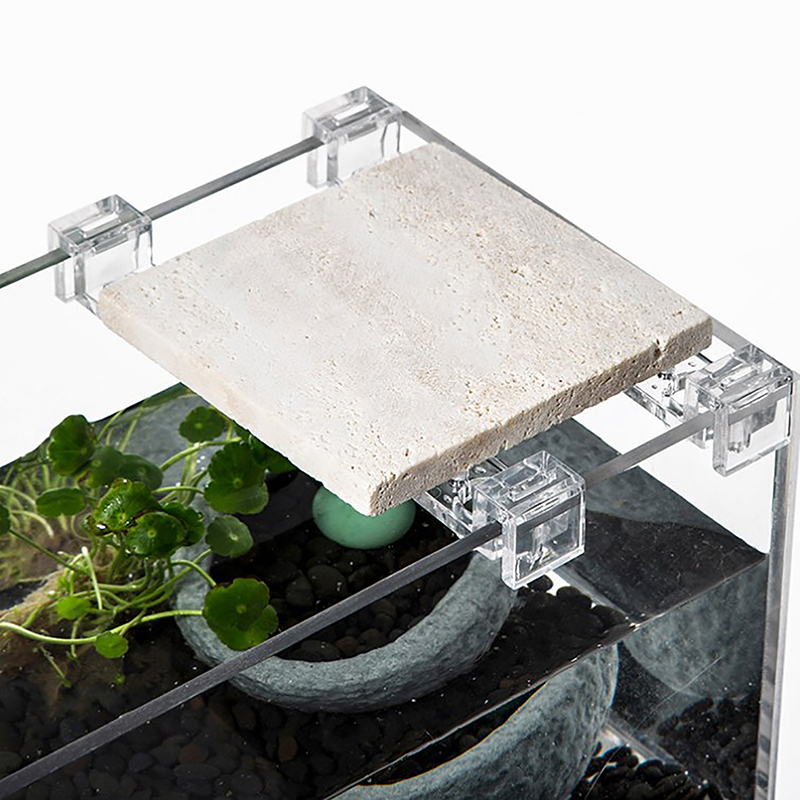 4 ชิ้นถังปลาคลิปอะคริลิคสําหรั - Aquarium Fish Elevator บทวิจารณ์และราคา