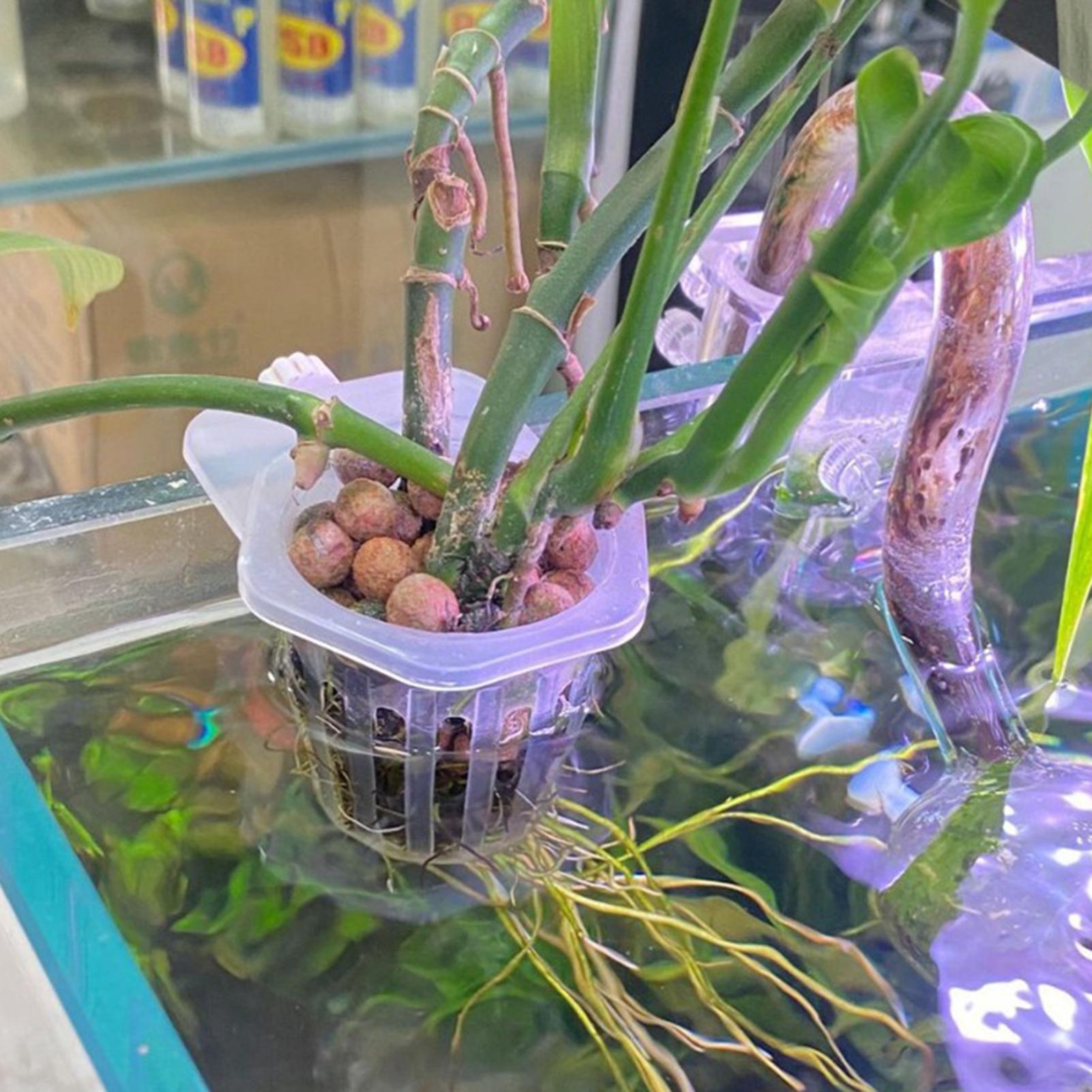 ตะกร้าปลูกพืชแบบแขวนสำหรับตู้ป - Aquarium Fish Elevator บทวิจารณ์และราคา