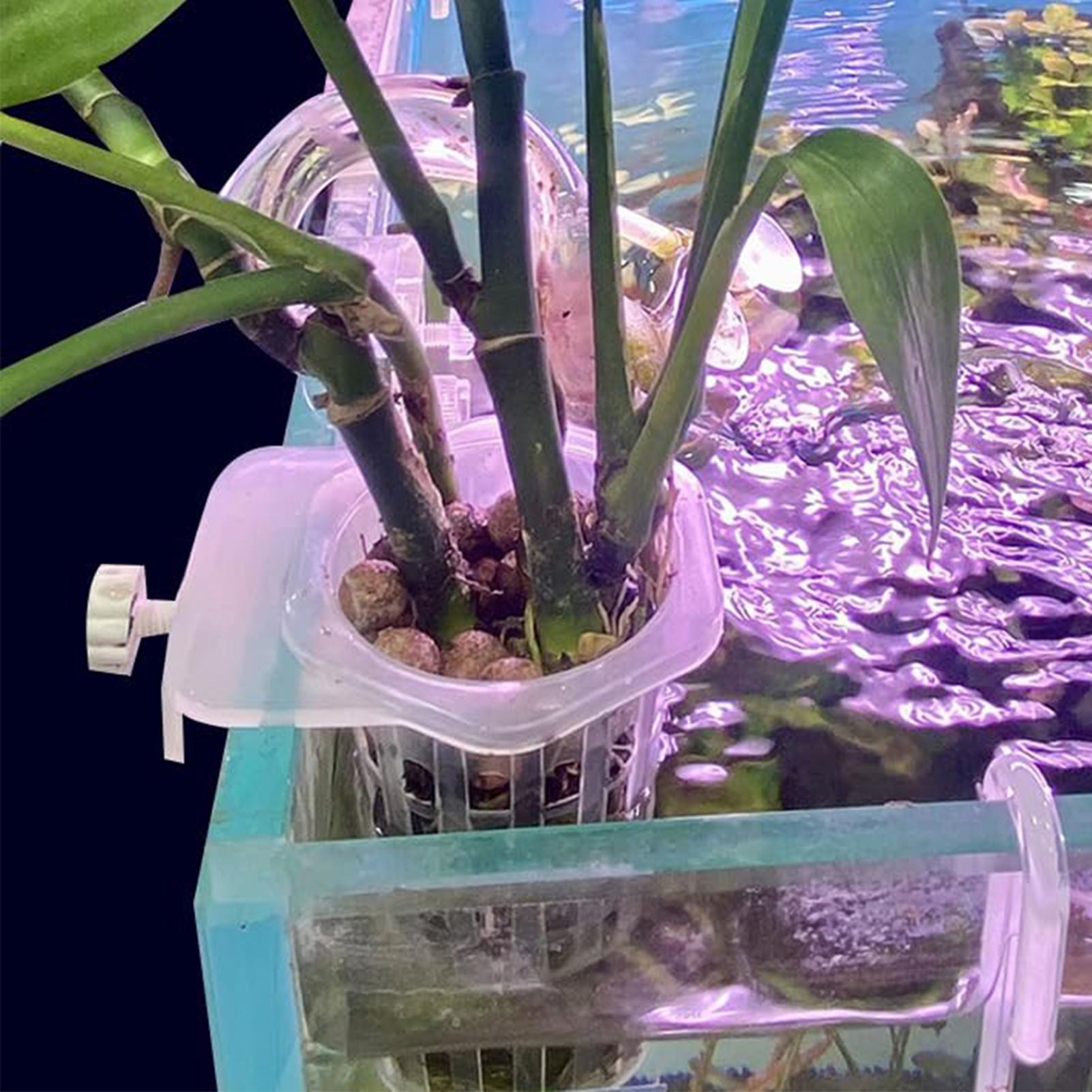 ตะกร้าปลูกพืชแบบแขวนสำหรับตู้ป - Aquarium Fish Elevator บทวิจารณ์และราคา