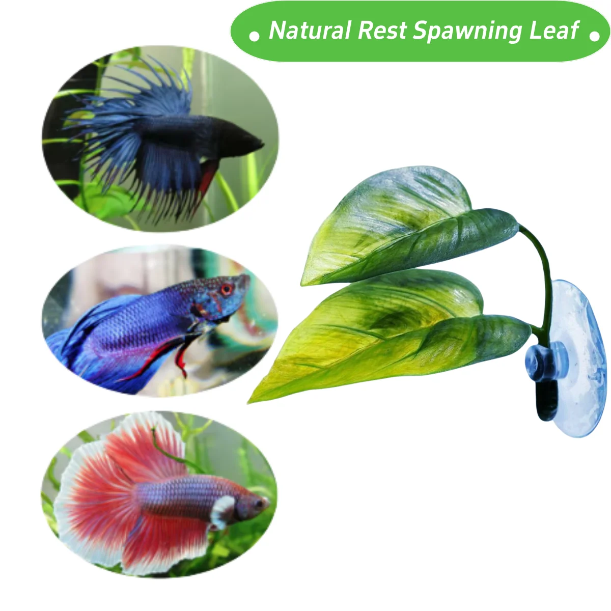 ของตกแต่งตู้ปลาสำหรับสัตว์เลี้ - Aquarium Fish Games บทวิจารณ์และราคา