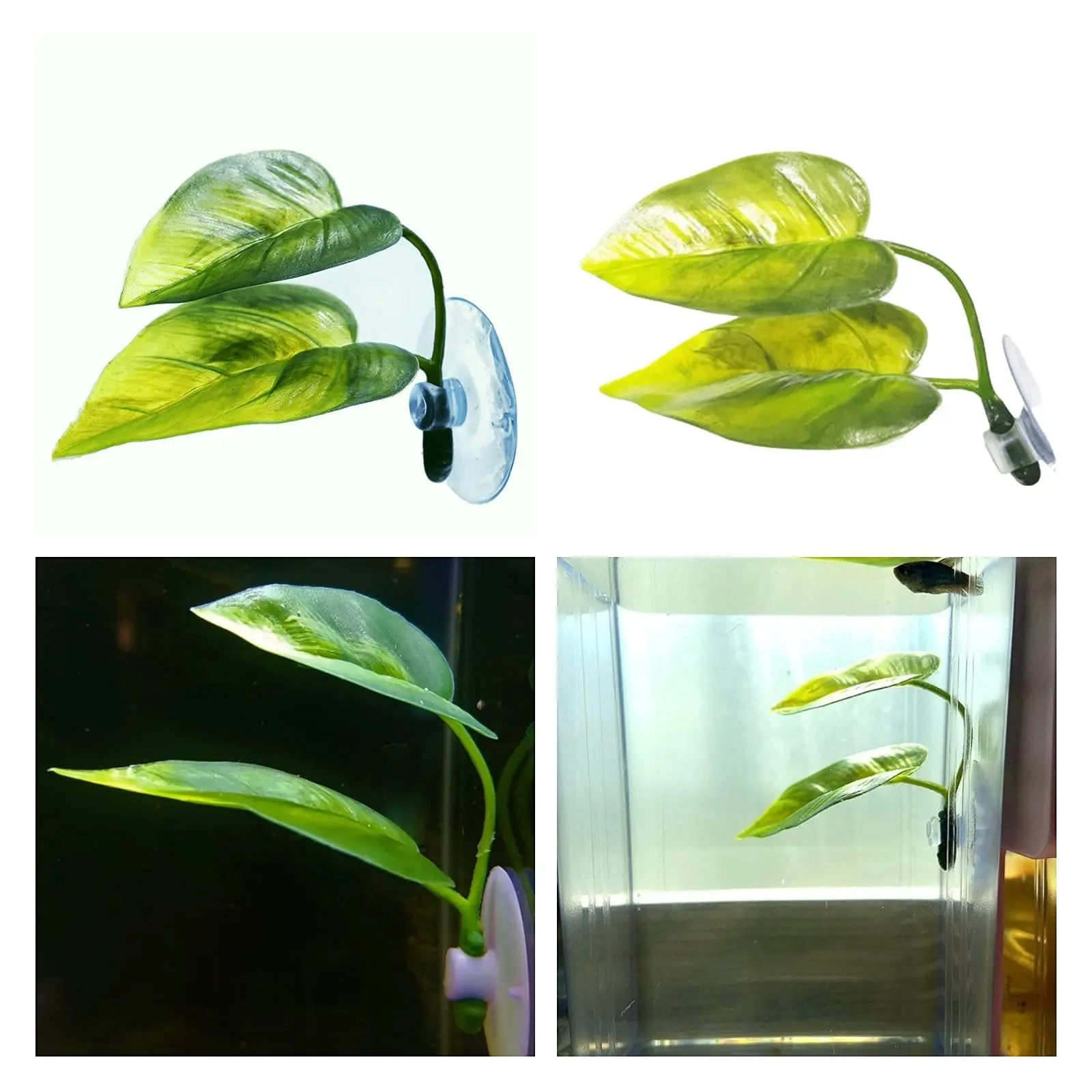 ของตกแต่งตู้ปลาสำหรับสัตว์เลี้ - Aquarium Fish Games บทวิจารณ์และราคา