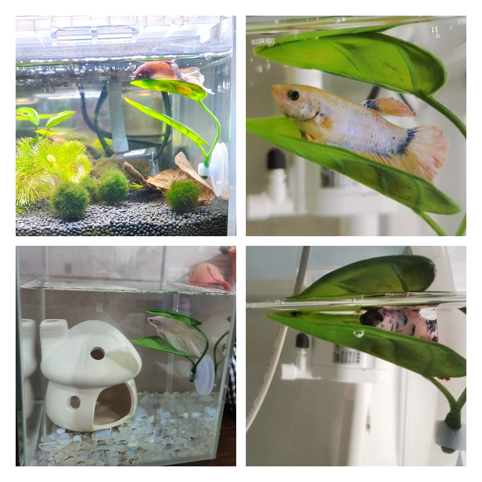 ของตกแต่งตู้ปลาสำหรับสัตว์เลี้ - Aquarium Fish Games บทวิจารณ์และราคา