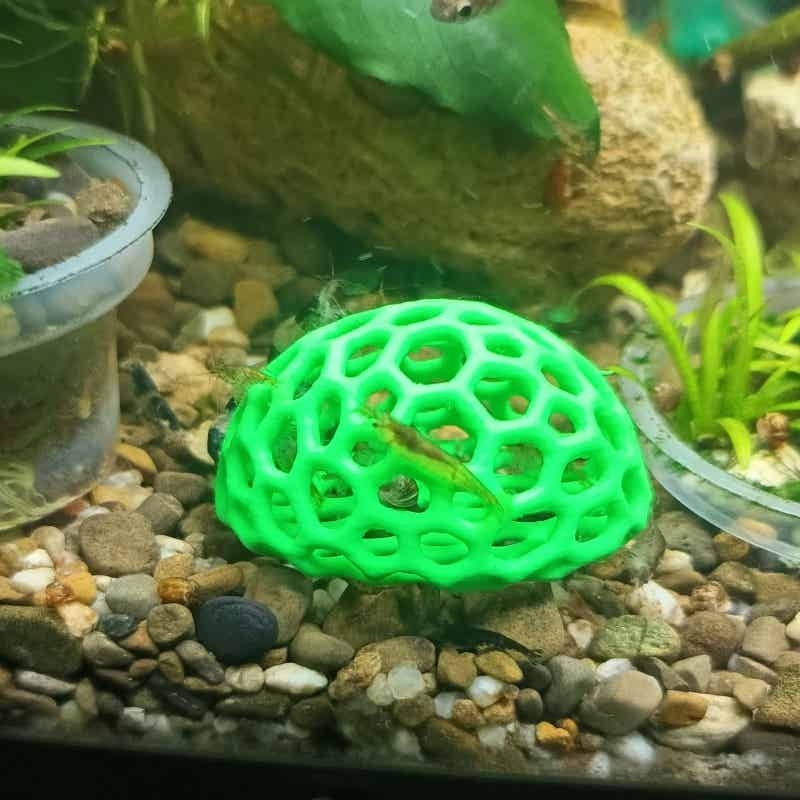 ถ้ำซ่อนตัวสำหรับกุ้ง ตกแต่งตู้ - Aquarium Fish Games บทวิจารณ์และราคา