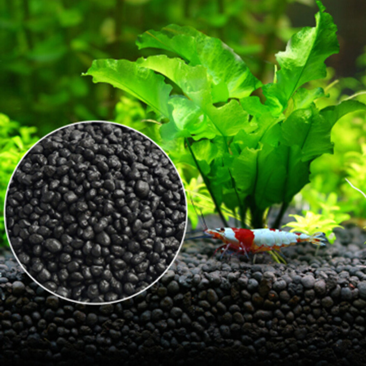 พิพิธภัณฑ์สัตว์น้ำเมล็ดพืชดิน  - Aquarium Fish Buy บทวิจารณ์และราคา