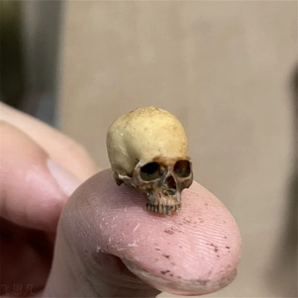 Mini Skull คุณภาพสูง Miniature - Aquarium Fish Buy บทวิจารณ์และราคา