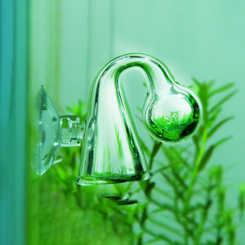 CO2สำหรับตู้ปลาที่ตรวจสอบการตก - Aquarium Fish Buy บทวิจารณ์และราคา