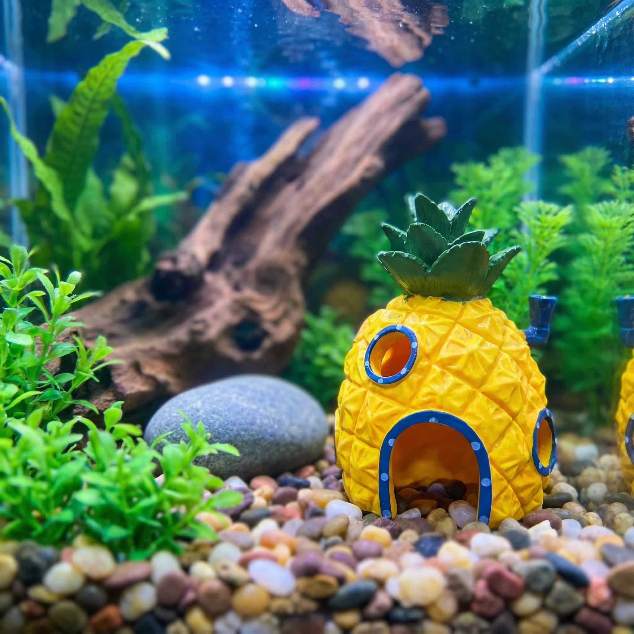 ของตกแต่งตู้ปลาทรงบ้านสับปะรด， - Aquarium Fish Games บทวิจารณ์และราคา