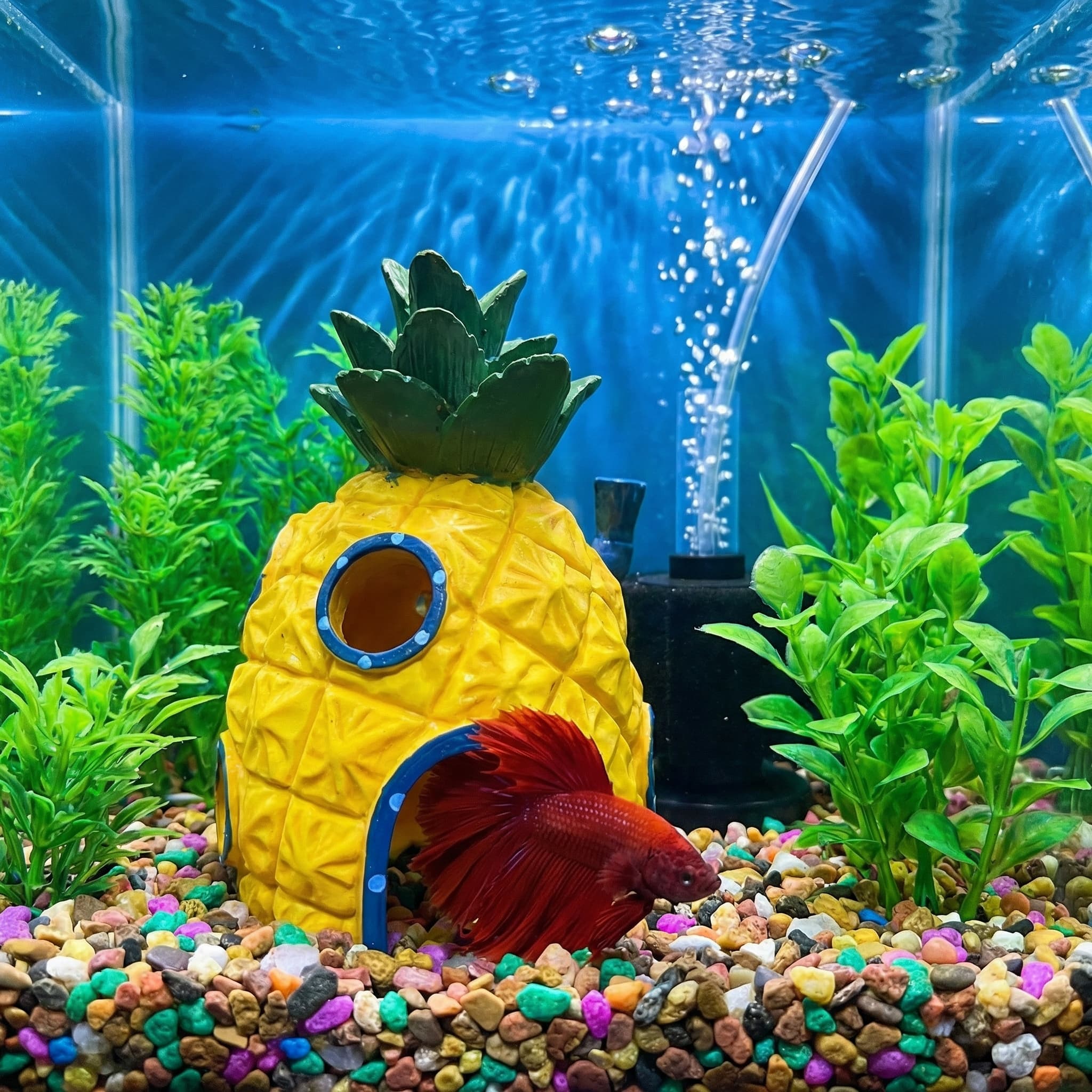ของตกแต่งตู้ปลาทรงบ้านสับปะรด， - Aquarium Fish Games บทวิจารณ์และราคา
