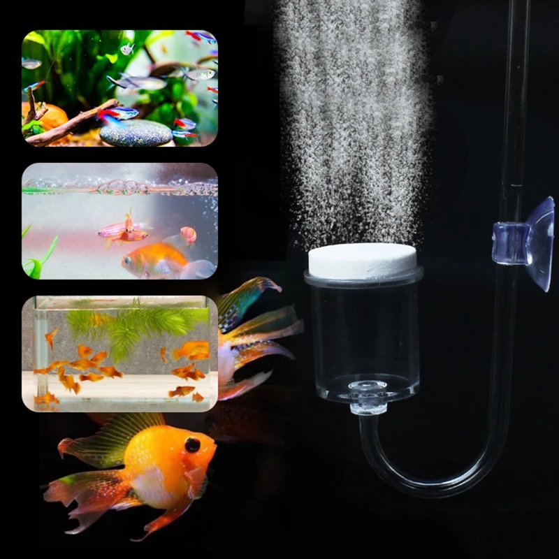 DIY ชุดกระจาย CO2 4ชิ้นสำหรับต - Aquarium Fish Buy บทวิจารณ์และราคา